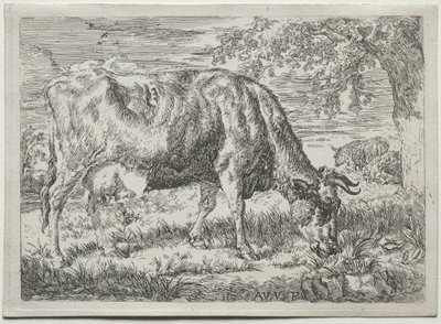 Mucca e due pecore ai piedi di un albero, 1670 da Adriaen van de Velde