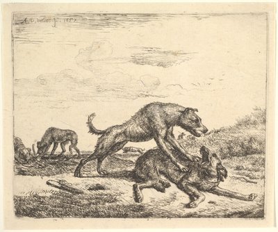 Cani che combattono, da Animali diversi, 1657 da Adriaen van de Velde