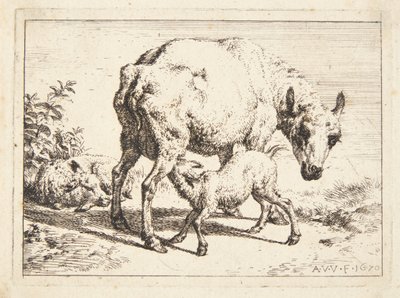 Pecora e due agnelli da Adriaen van de Velde