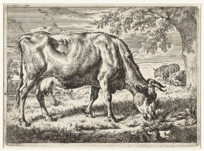 Mucca al pascolo e due pecore da Adriaen van de Velde