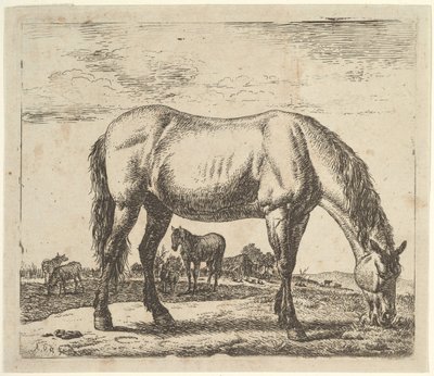 Cavallo al pascolo, da Animali diversi da Adriaen van de Velde