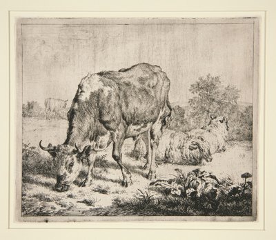 Le Boeuf Pie et les trois moutons da Adriaen van de Velde