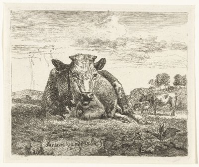 Mucca sdraiata da Adriaen van de Velde
