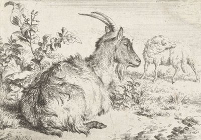 Capra sdraiata da Adriaen van de Velde