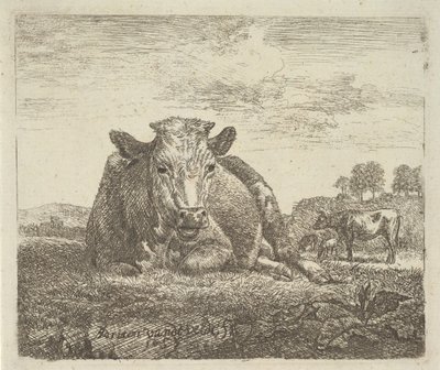 Mucca sdraiata, da Animali diversi da Adriaen van de Velde
