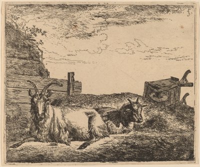 Capre Recumbenti da Adriaen van de Velde