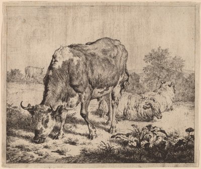 Toro Maculato e Tre Pecore da Adriaen van de Velde