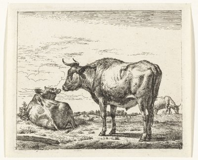 Toro in piedi da Adriaen van de Velde