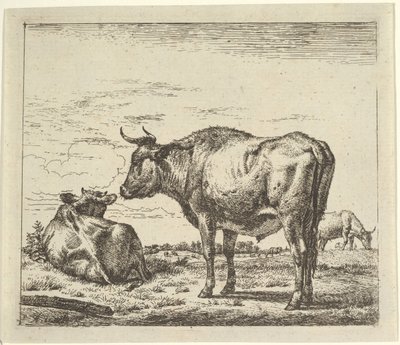 Toro in piedi, da Animali diversi da Adriaen van de Velde