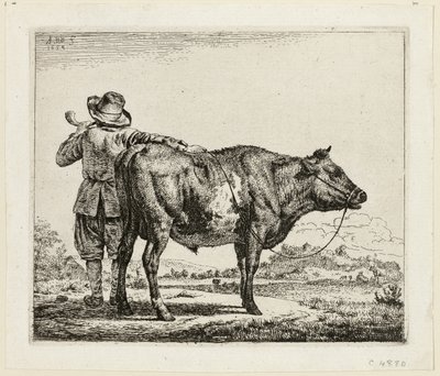 Il Mandriano e il Toro da Adriaen van de Velde