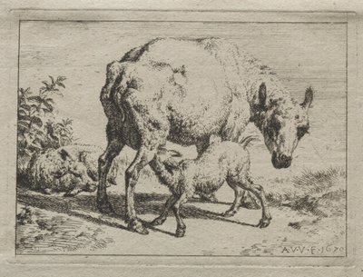 La pecora e due agnelli da Adriaen van de Velde