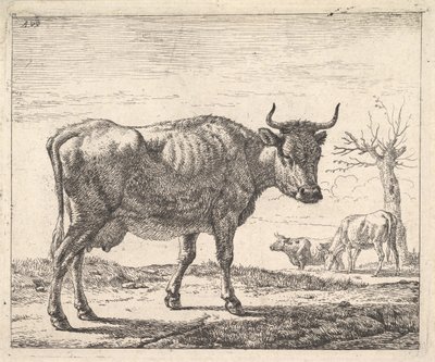 Tre mucche da Adriaen van de Velde