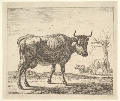 Tre mucche, da Animali Diversi da Adriaen van de Velde