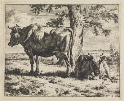 Due mucche sotto un albero da Adriaen van de Velde