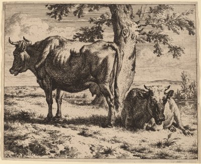 Due mucche sotto un albero da Adriaen van de Velde