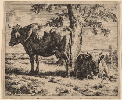 Due Mucche sotto un Albero da Adriaen van de Velde