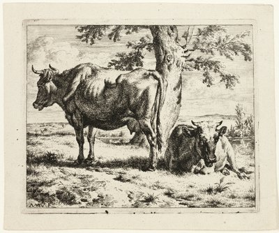 Due mucche sotto un albero da Adriaen van de Velde