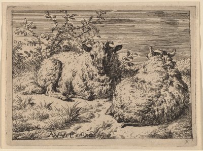 Due pecore sdraiate da Adriaen van de Velde