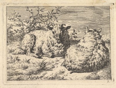 Due pecore sdraiate, 1670 da Adriaen van de Velde