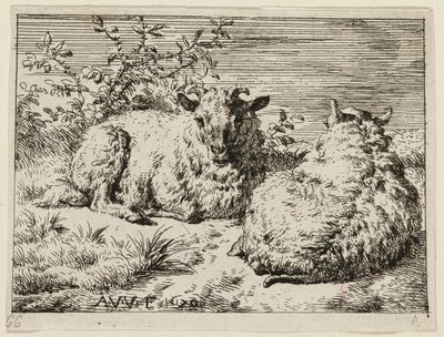 Due pecore da Adriaen van de Velde