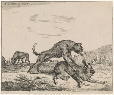 Cani che combattono da Adriaen van de Velde
