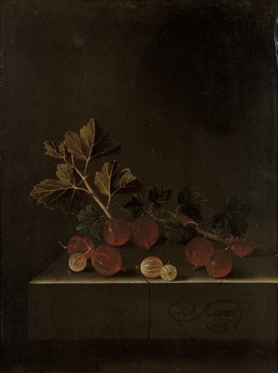 Un rametto di uva spina su un piedistallo di pietra, 1699 da Adrian Coorte