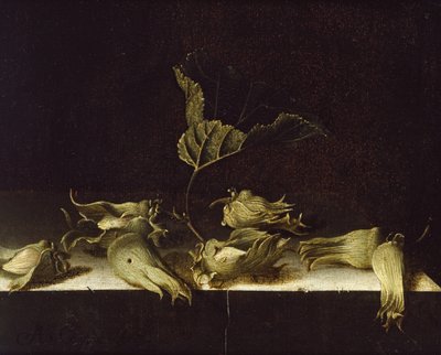 Natura morta con nocciole da Adrian Coorte