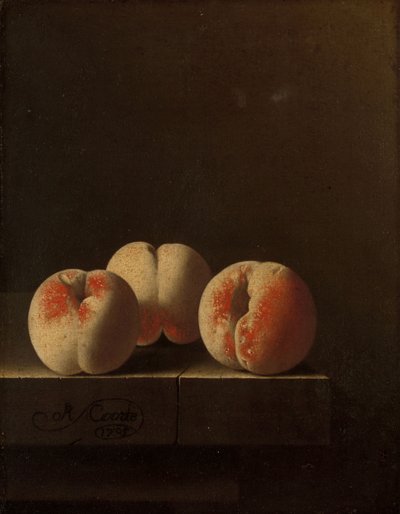 Tre pesche su un plinto di pietra, 1705 da Adrian Coorte