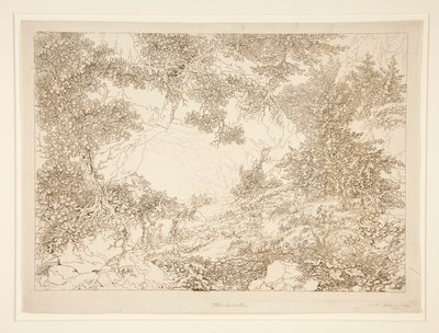Paesaggio da Adrian Zingg