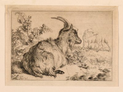 Una Capra da Adrian van de Velde