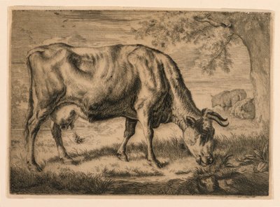 Mucca e Due Pecore ai Piedi di un Albero da Adrian van de Velde
