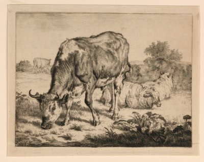 Bue e tre pecore da Adrian van de Velde