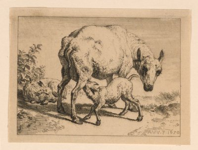La pecora da Adrian van de Velde