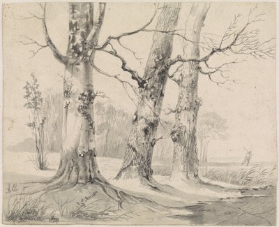 Paesaggio invernale da Adrianus Eversen