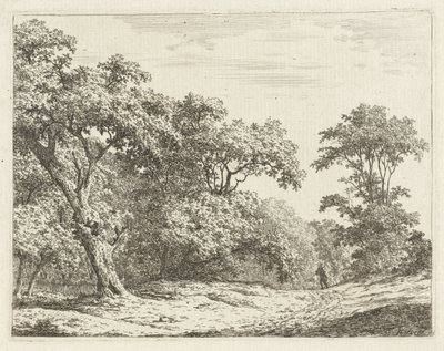 Paesaggio con alberi e un uomo sulla strada da Adrianus Serné