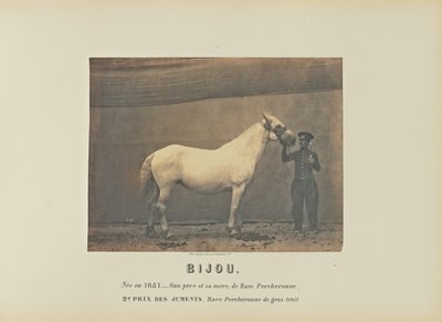 Bijou da Adrien Alban Tournachon