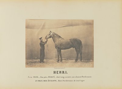 Henri da Adrien Alban Tournachon