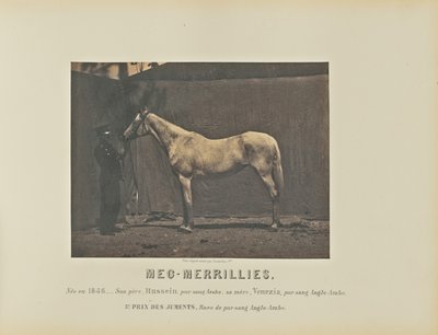 Meg-Merrillini da Adrien Alban Tournachon