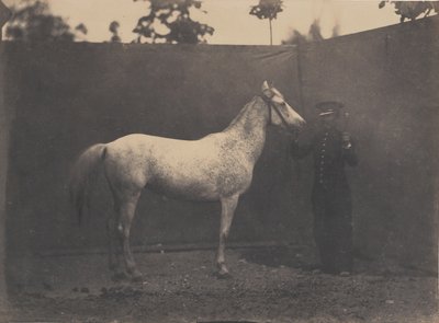 Pascaline, ca. 1855-60 da Adrien Alban Tournachon
