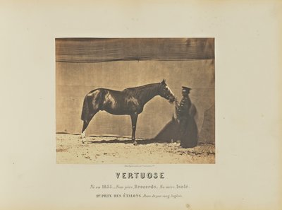 Nel Vertuose da Adrien Alban Tournachon