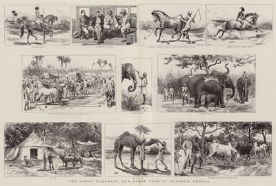 La grande fiera degli elefanti e dei cavalli a Sonepur, Bengala da Adrien Emmanuel Marie