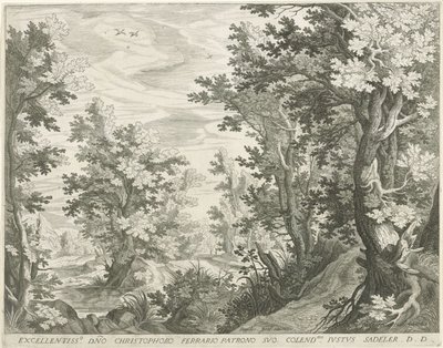 Paesaggio boschivo da Egidius  Sadeler (II)
