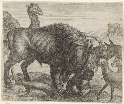 Favola del bisonte e degli altri animali da Egidius  Sadeler (II)