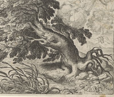 Favola del frassino e della canna da Egidius  Sadeler (II)