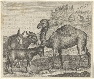 Favola dell