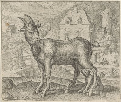 Favola della capra e del giovane lupo da Egidius  Sadeler (II)