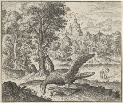 Favola dell