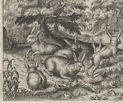 Favola delle lepri e delle rane da Egidius  Sadeler (II)