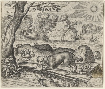 Favola del cane e il suo riflesso da Egidius  Sadeler (II)