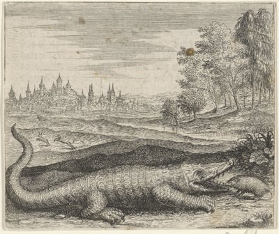 Favola del coccodrillo e della mangusta da Egidius  Sadeler (II)